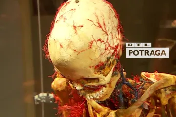 Muzeji lani zabilježili pad od čak četiri milijuna posjetitelja. Potraga istražuje što čine kako bi opstali