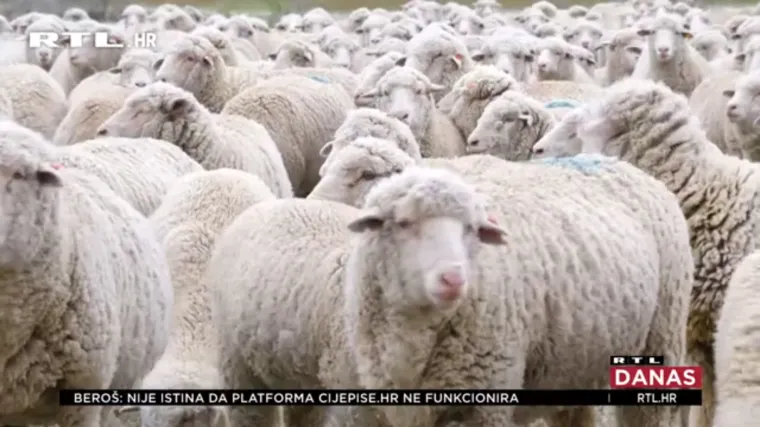 Za tri tjedna Hrvatska će birati svoje gradonačelnike i lokalne predstavnike. Provjerili smo tko se istaknuo, a tko je potpuno proma&scaron;io