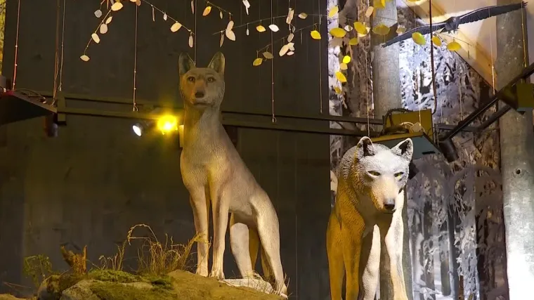 Tri velike zvijeri - vuk, ris i medvjed u srcu Gorskog kotara dobile su svoj novi virtualni dom