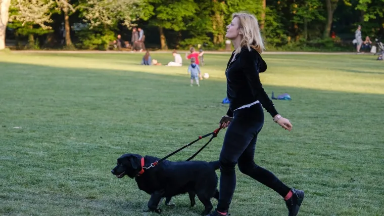 Što se dogodilo s bijelim psećim izmetom koji je bio posvuda do prije dvadesetak godina?