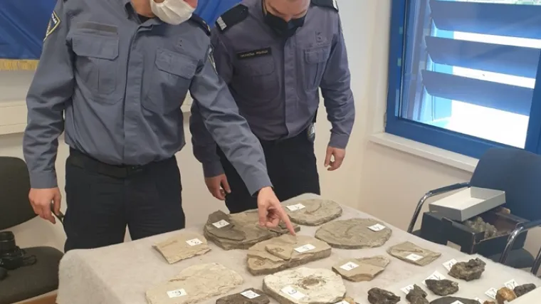 Nevjerojatan nalaz policije! Od krijumčara zaplijenila vrijednu kolekciju staru 15 milijuna godina, neprocjenjive vrijednosti