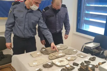 Nevjerojatan nalaz policije! Od krijumčara zaplijenila vrijednu kolekciju staru 15 milijuna godina, neprocjenjive vrijednosti