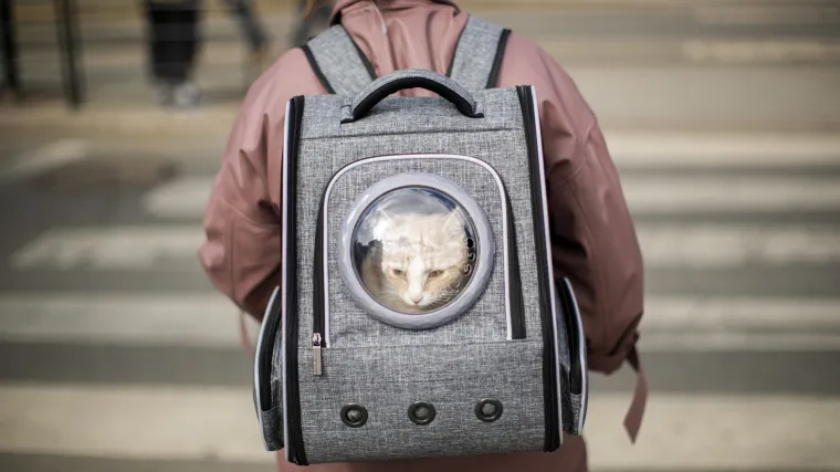 Protiv covida masovno počinju cijepiti i prvim cjepivom za životinje