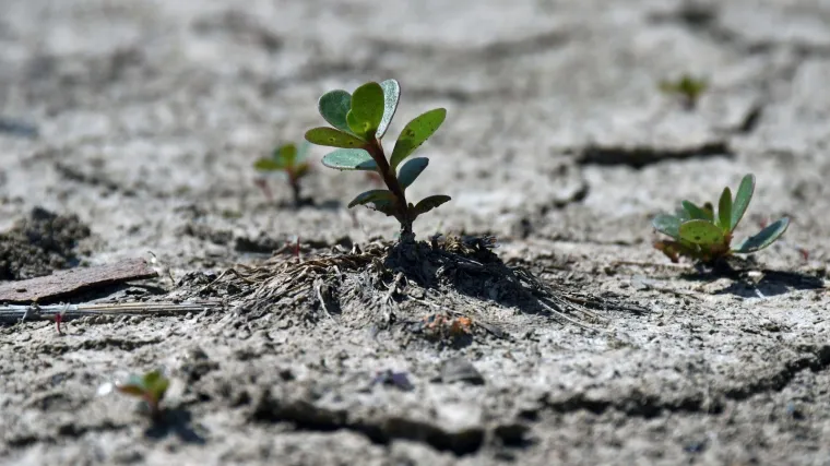 Ozbiljno upozorenje iz Europske komisije: 'Ako se stariji ne žrtvuju, djeca bi mogla ratovati zbog hrane i vode!'