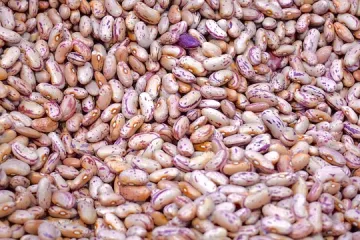 Priprema graha: Grah na sicilijanski način