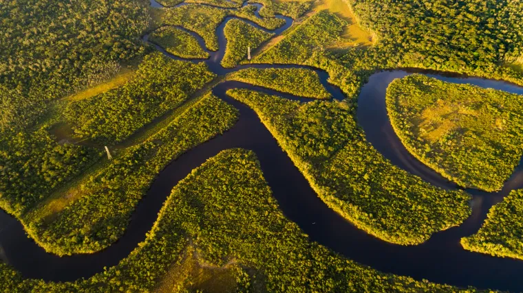 Amazonska pra&scaron;uma ispustila vi&scaron;e ugljikovog dioksida nego &scaron;to ga je 'upila': 'Ne znamo kada će to postati put bez povratka'