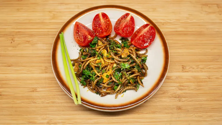 Članice EU-a odobrit će kori&scaron;tenje ovog kukca za jelo: 'Redovito ih se jede u mnogim dijelovima svijeta'