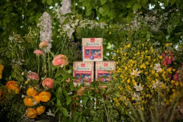 Franck Beestro – projekt usmjeren na zaštitu ekosustava i pčelinjih zajednica