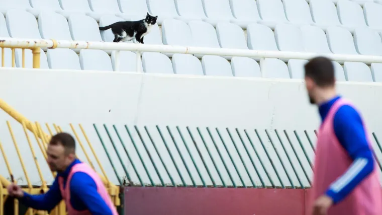 Stojanović je nakratko i prekinuo zagrijavanje - neobičan posjetitelj na derbiju