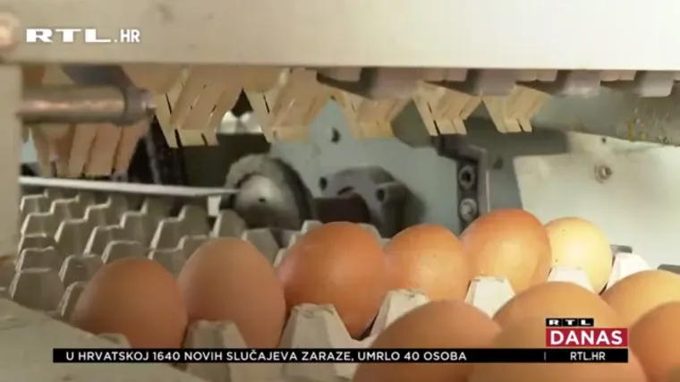 Uvodi se nova oznaka na jajima: Doznajte kako ona izgleda i što će točno predstavljati