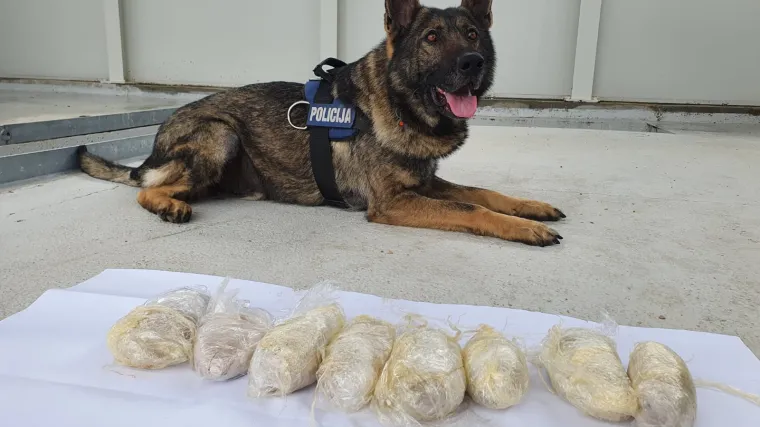 Zvijezda akcije je policijski pas Wolf: Kod starijeg mu&scaron;karca prona&scaron;li vi&scaron;e od kilograma heroina