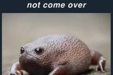 AKO VAM UM NIJE BAŠ BAŠ PERVERZAN, OVO RADIJE PRESKOČITE: Memovi toliko prljavi da će dežurne 'konzerve' baciti na aparate