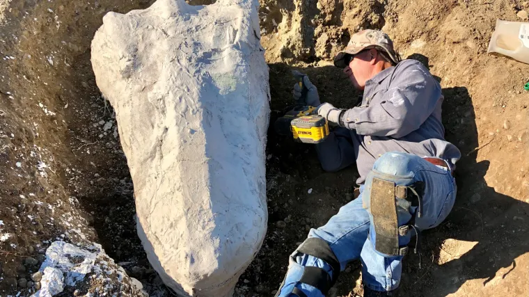 FOTO Rendžer Francek otkrio je prapovijesno nalazi&scaron;te fosila, jedno od najvećih u svijetu
