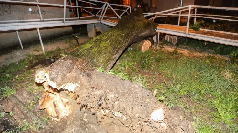 Posljedice nevremena u nekoliko županija: Padala su stabla, električni stupovi, zatvarane prometnice...