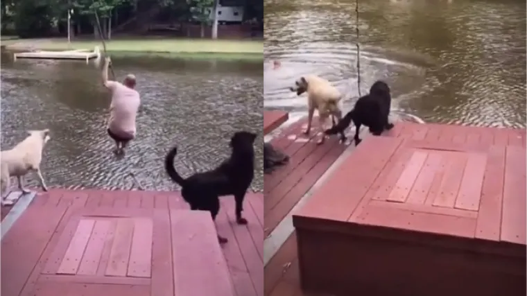 Ovaj prizor možda obja&scaron;njava za&scaron;to mnogi vole biti uz vas dok se kupate u kadi