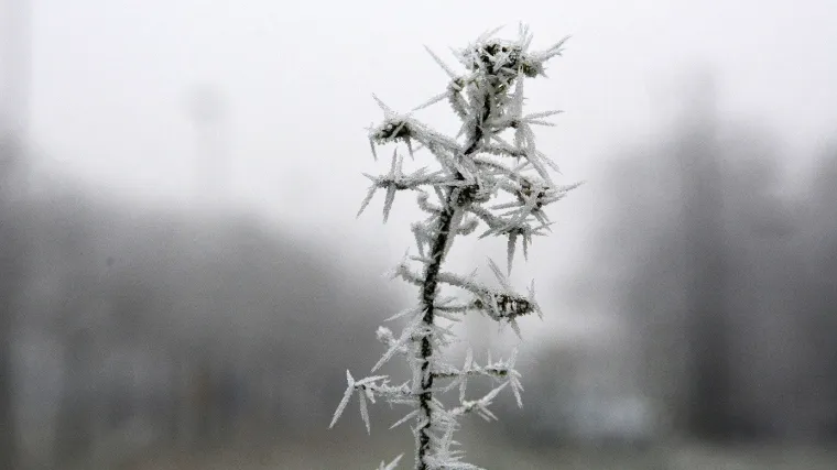 Hladnoća je ovoga proljeća oborila neke rekorde, no svibanj prije samo dvije godine je bio hladniji, pi&scaron;e na&scaron; Dorian Ribarić