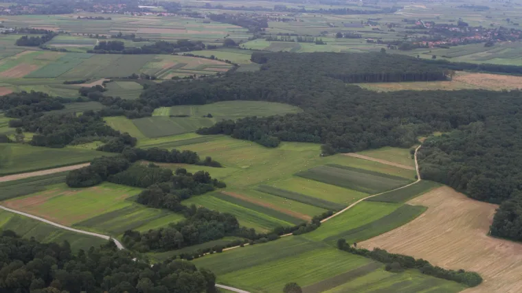 RTL Danas po&scaron;ao je tragovima pume u Podravini