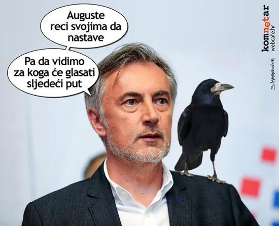 Napadi ptica ne prestaju