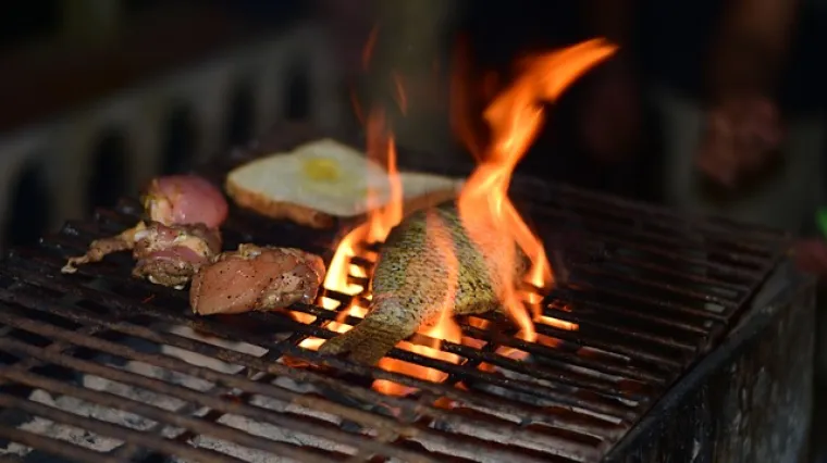 Kako ispeći ribu na roštilju