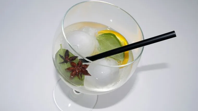 Začini za gin: koji začini su najbolji za gin