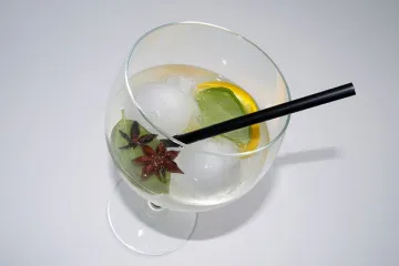 Začini za gin: koji začini su najbolji za gin