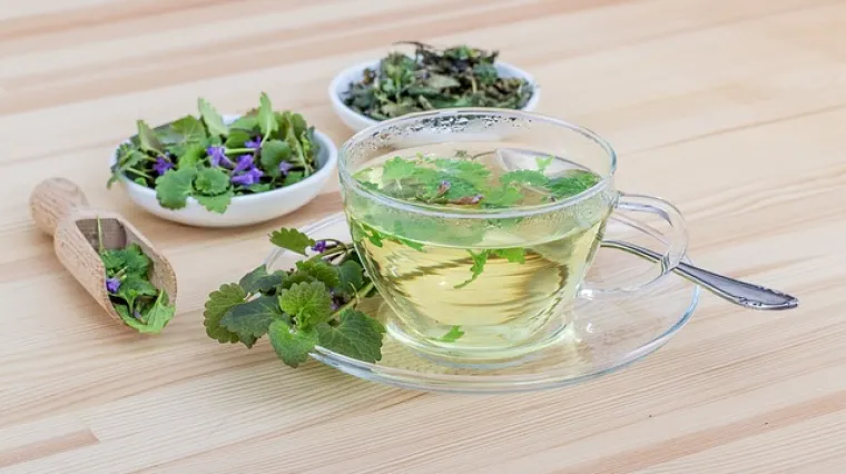 Biljni čaj za sinuse