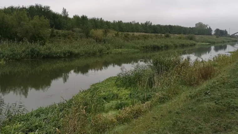 Tragedija u Srbiji: Tinejdžeri skočili u kanal, nisu znali plivati i utopili se