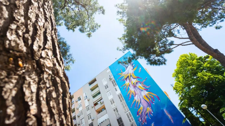 Dočekali su 'najvećeg malog morskog puža', oslikali im 300 metara četvornih veliku sliku pužića inače veličine tek 12 mm