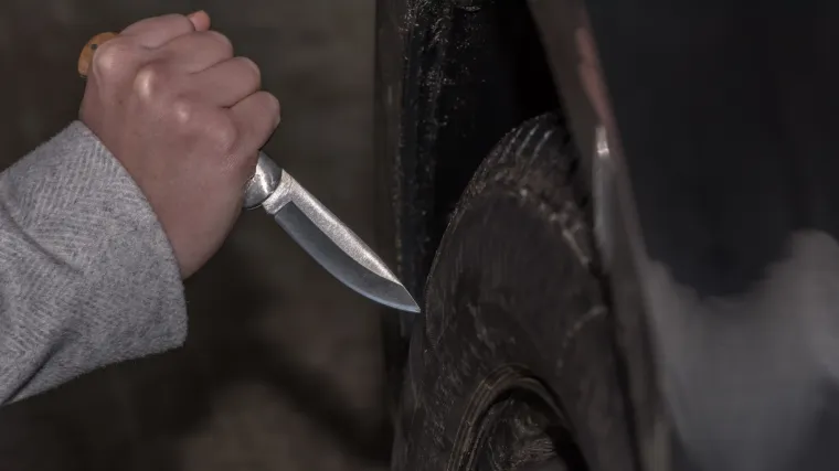 Novosadski pisac kojem su u Splitu izbu&scaron;ili gume: 'Opet ću doći.  Neću mijenjati tablice. Ne stidim se'