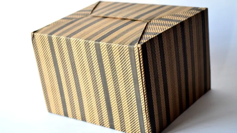 Savjeti za selidbu u&scaron;tedjet će vrijeme i energiju