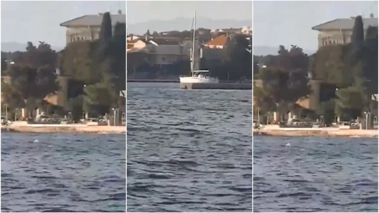 Zadrani na terasi kafića doživjeli nezaboravan prizor: 'Stigli su 20 metara do obale, dva velika i dva mala!'