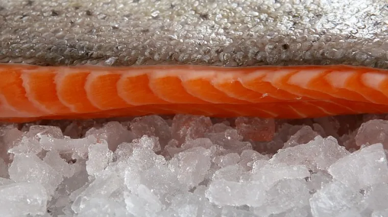 Odličan recept - brancini i tikvice s pestom od peršina