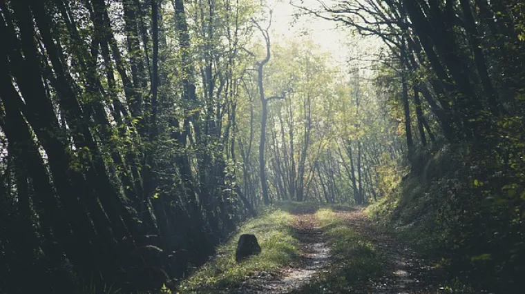 Što posjetiti u Gorskom kotara: Prirodne znamenitosti Gorskog kotara