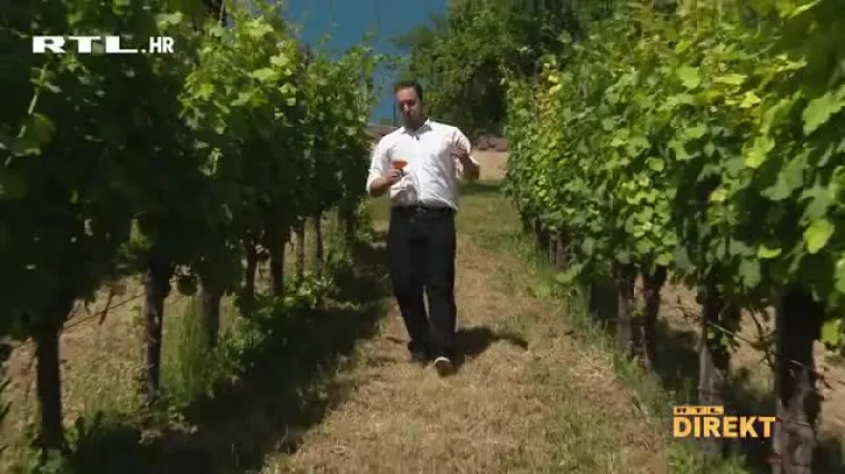 Nije ni bijelo, ni crno, ni rose, već je narančasto: Koliko ko&scaron;ta, kako se radi i kakvog je okusa hit orange vino