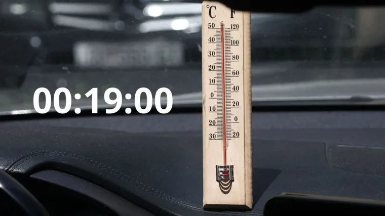 POGLEDAJTE VIDEO U samo 20-ak minuta na ovim vrućinama, u va&scaron;em automobilu temperatura može rasti do 50 stupnjeva