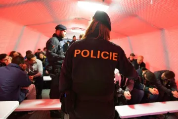 'Ubijeni Rom nije češki George Floyd, policijska upotreba sile bila je nužna'