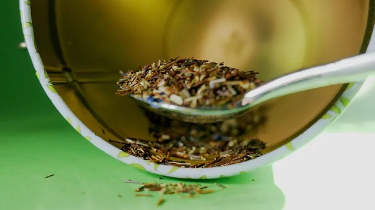 Koje su dobrobiti lista smokve?