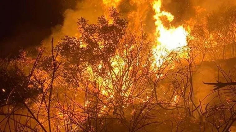 U Župi Dubrovačkoj sinoć izbio požar: Buknuo je zbog nestručnog navijačkog rukovanja bakljama?