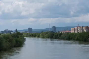 U rijeci Savi uočene meduze: 'Ima ih u još nekim rijekama i jezerima Hrvatske'
