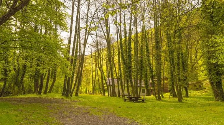 Posjetite Slavoniju i uživajte u njezinim prirodnim ljepotama