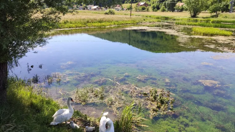 Organizirajte nezaboravni izlet u prirodu s djecom