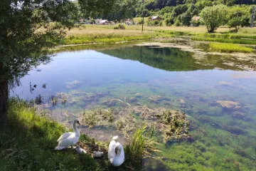 Organizirajte nezaboravni izlet u prirodu s djecom