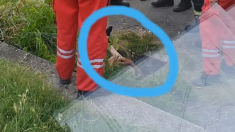 Bio je dovoljno priseban da ih nazove: 'Čujte ovak', to mi se još nikad u životu nije dogodilo...'