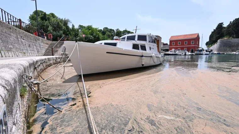 Cvjetanje mora prirodna je pojava, ali nije lijepa za vidjeti: 'Da bih uskočio u takvo more, i ne bih'