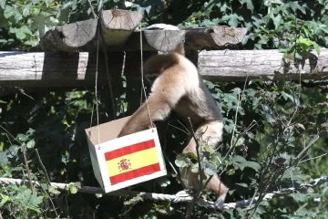 Kent odabrao pobjedu Španjolske nad Hrvatskom