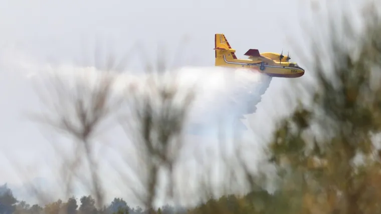 Bacio opu&scaron;ak i zapalio hektar i pol borove &scaron;ume, sad ga se dočepala policija