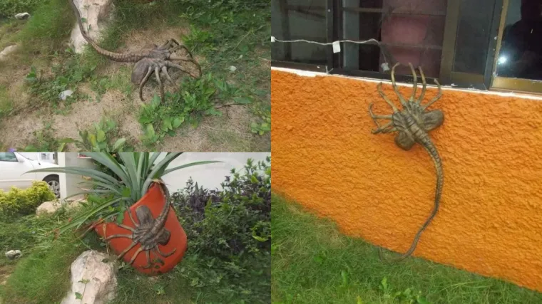 Jesu li i do vas stigle ove fotografije? Ne paničarite, nemate ba&scaron; nikakav razlog za zabrinutost