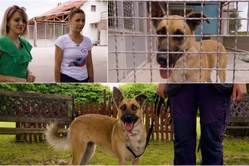 Salem je ostavljena u azilu: 'To je šok za psa koji je donedavno imao obitelj'