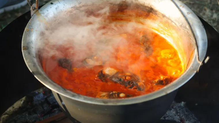 Slavonski fi&scaron; paprika&scaron;: Donosimo recept za pripremu slavnog ribljeg specijaliteta