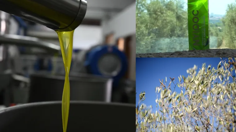 Maslinari odlaze u Ameriku, svake godine poberu puste nagrade za ulja, a onda im nagradne kipiće u Hrvatskoj &ndash; carine!